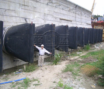 呼倫貝爾市滿洲里市鴨嘴閥在西班牙案例